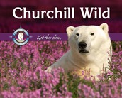 Churchill Wild 2017